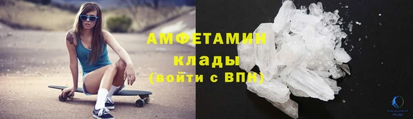 гашик Тихвин