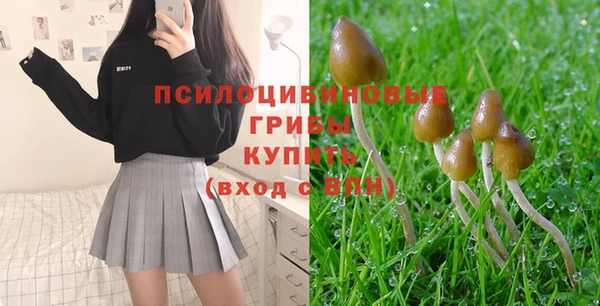 Альфа ПВП Нефтегорск