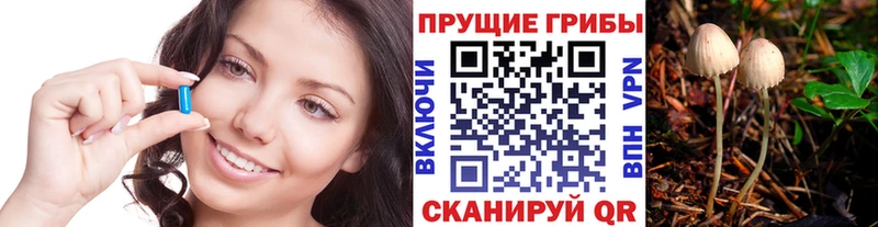Галлюциногенные грибы MAGIC MUSHROOMS  Шиханы 